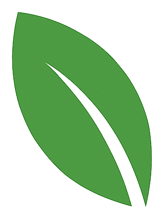 A leaf, representing new beginnings